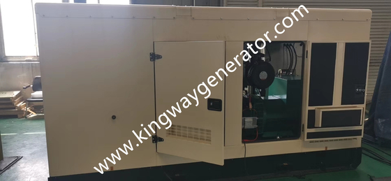 250KVA Gas Alam Cummins 200kw Generator Diam Untuk Pendingin Udara Pompa Panas Gas