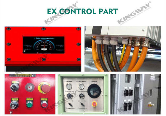 Pasokan 400v 50hz 3 fase 4 kabel 300kva mesin diesel ex-bukti ATEX Zona 2 dinilai dnvooffshore generator