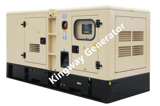 20KW 25KVA Diam Dual Fuel Diesel Dan Biogas Generator Set Mesin